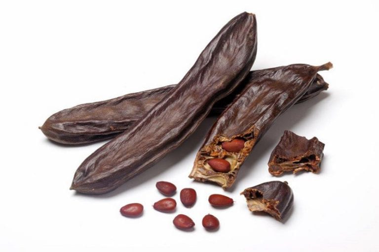 Vainas de algarroba maduras, de color pardo oscuro