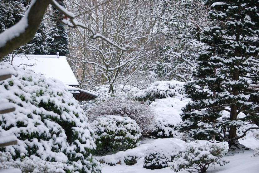 Jardín cubierto de nieve tras una helada