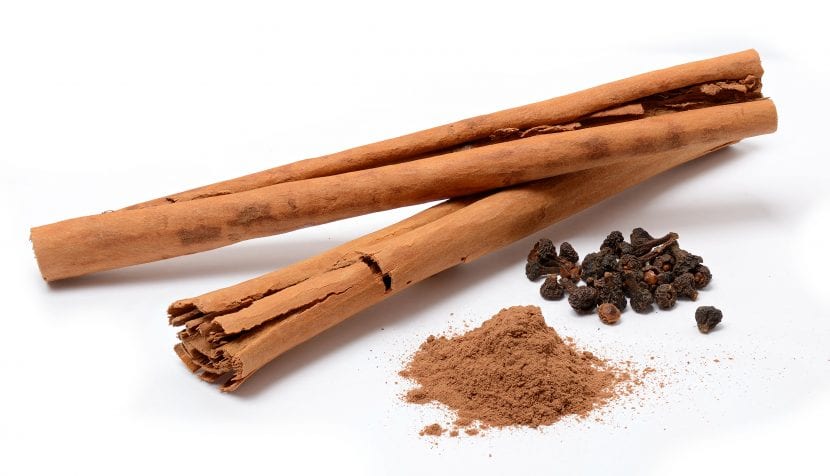 Ramas y hojas del árbol de la canela, Cinnamomum verum