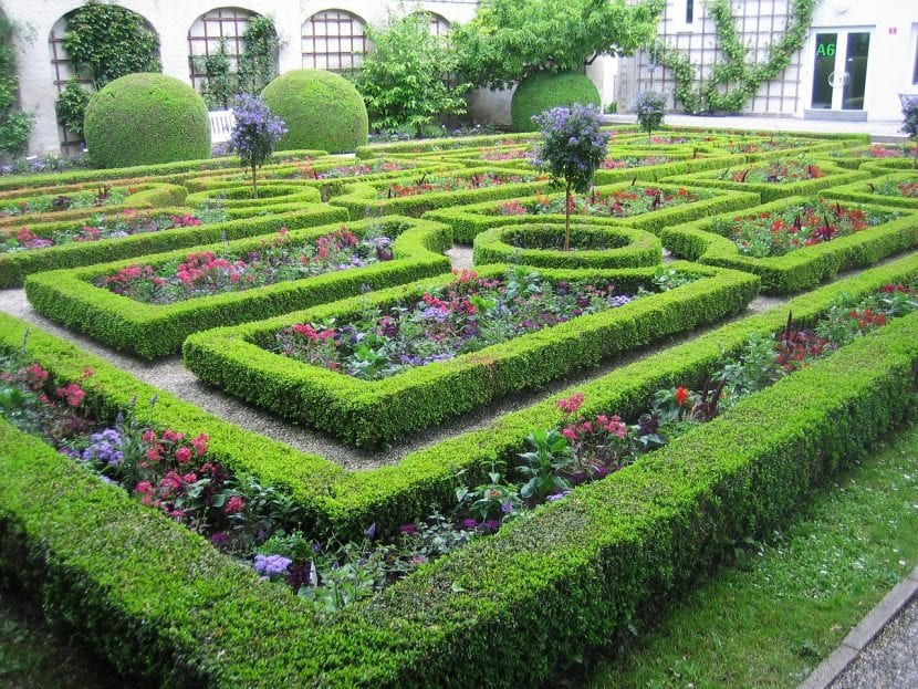 Jardín con setos recortados delimitando los parterres