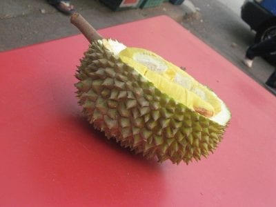 Fruto del durián abierto mostrando la pulpa