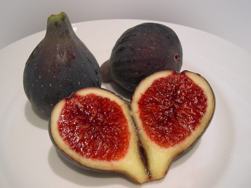 Breva de piel morada en la rama