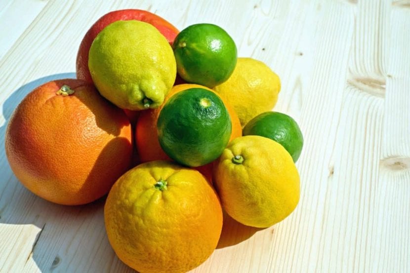 Frutos de distintas especies de cítricos