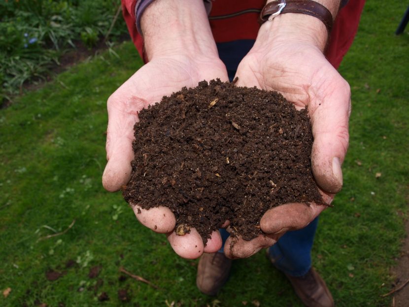 Tierra preparada para la plantación del olivo