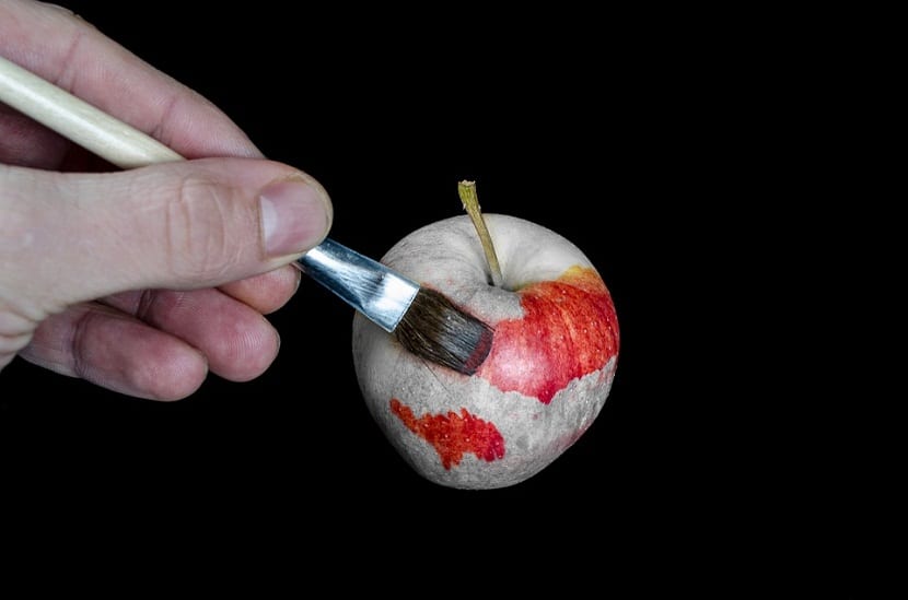 Dibujo a lápiz de una manzana con el rabo y la cavidad peduncular