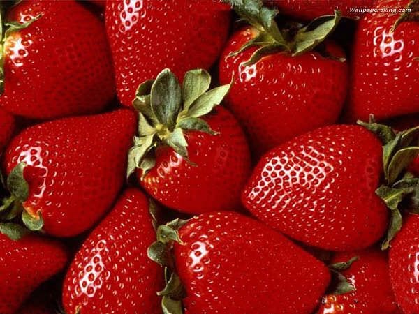 Frutales para clima cálido: subtropicales y bajo frío