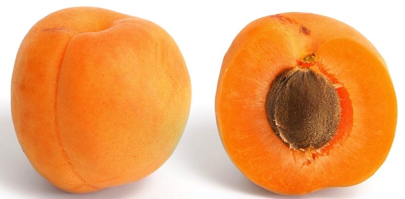 Chabacano (Prunus armeniaca): fruta, cultivo y plagas