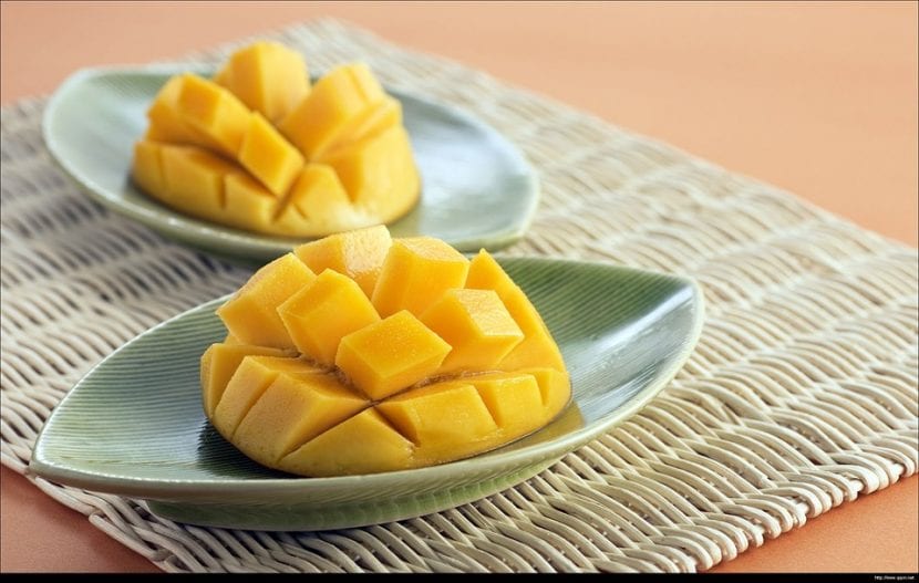 Mangos maduros en el árbol, uno de los frutales tropicales que sí se cultivan en España