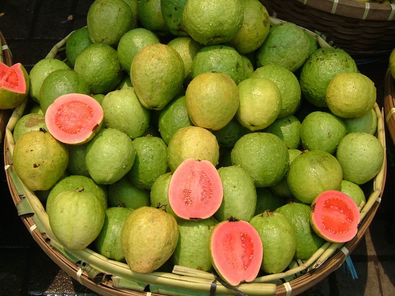 Guayaba en maceta: cultivo, riego, poda e invernada