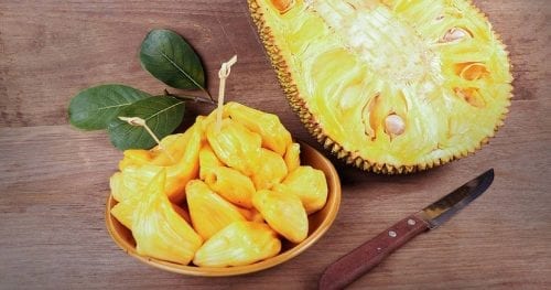 Fruto de la yaca colgando del tronco del árbol