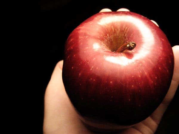 Manzana con daño de gusano en el árbol