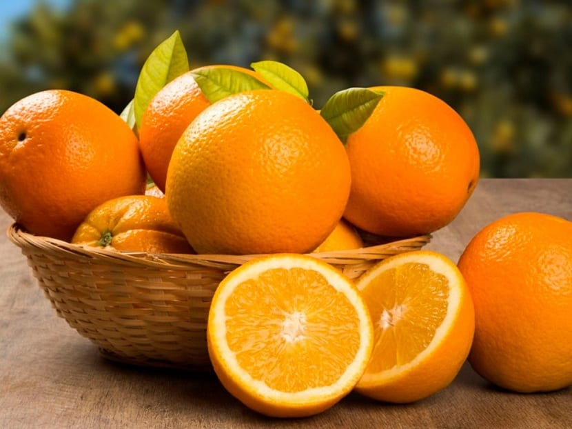 Naranjas maduras en el árbol