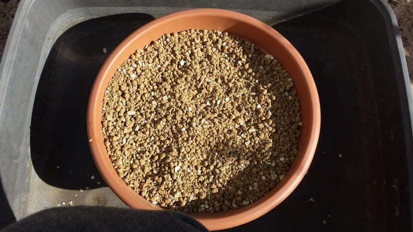 Sustrato granular mezclado y cribado, listo para el trasplante de un bonsái