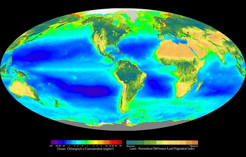 Mapa mundial de la actividad fotosintética