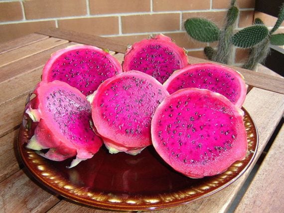 Pitahaya: cultivo, polinización y recolección