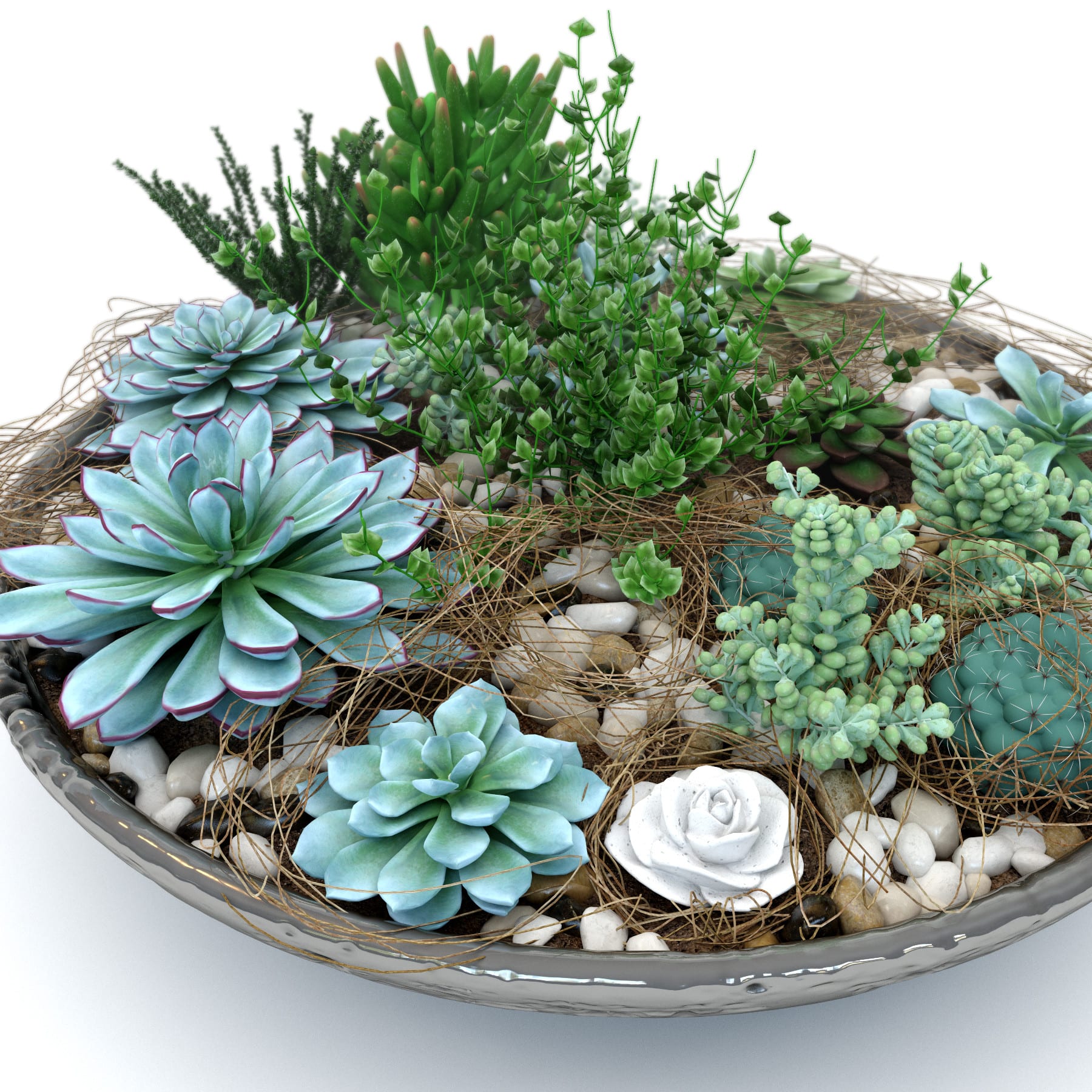 Cómo hacer una composición de cactus y crasas que dure