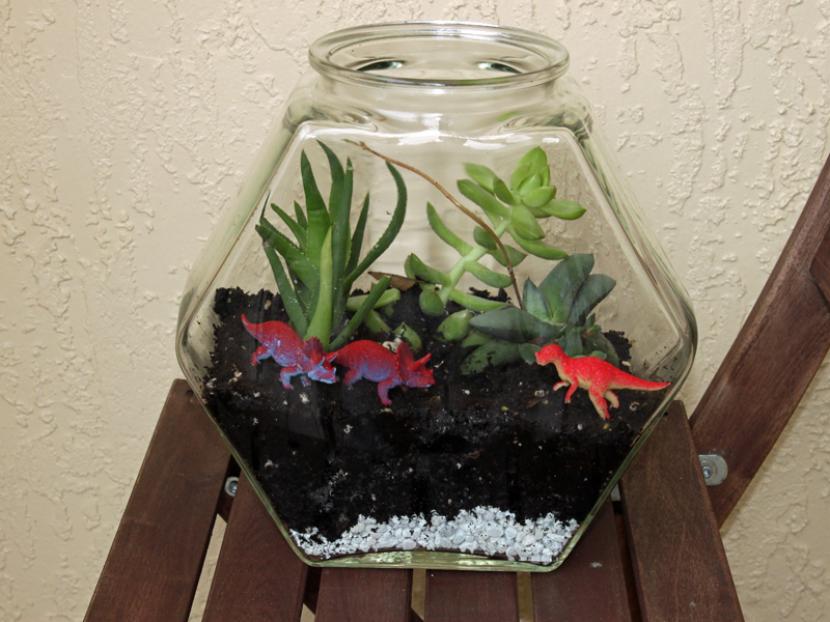 Cómo reutilizar una pecera vieja: 6 ideas con plantas