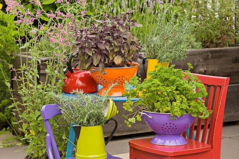 Maceteros hechos con objetos reciclados en un patio