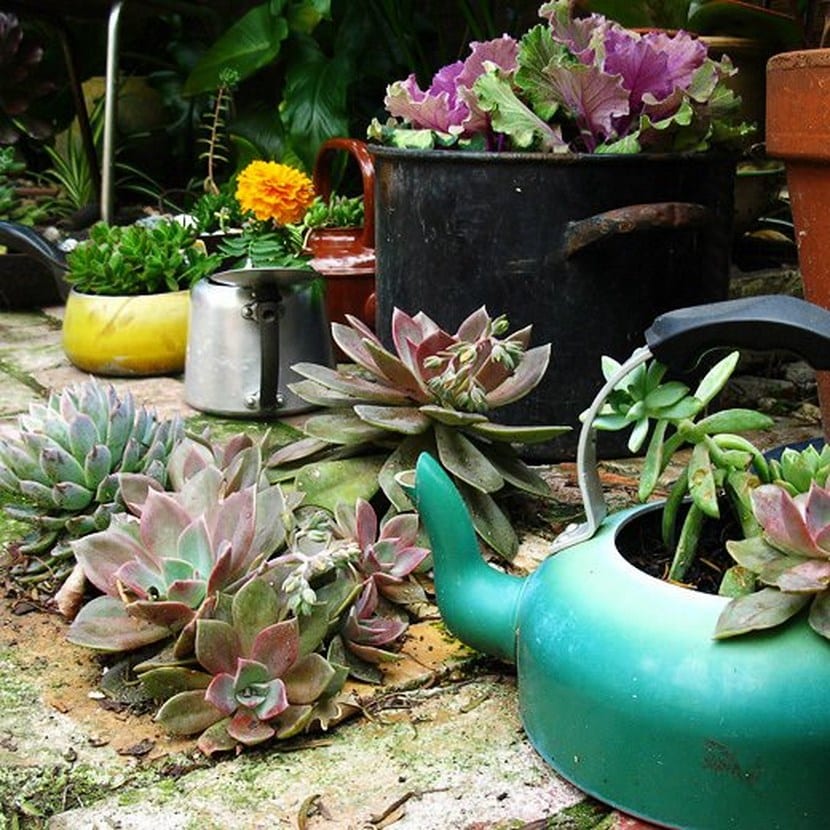 Recipientes de cocina reutilizados como maceteros