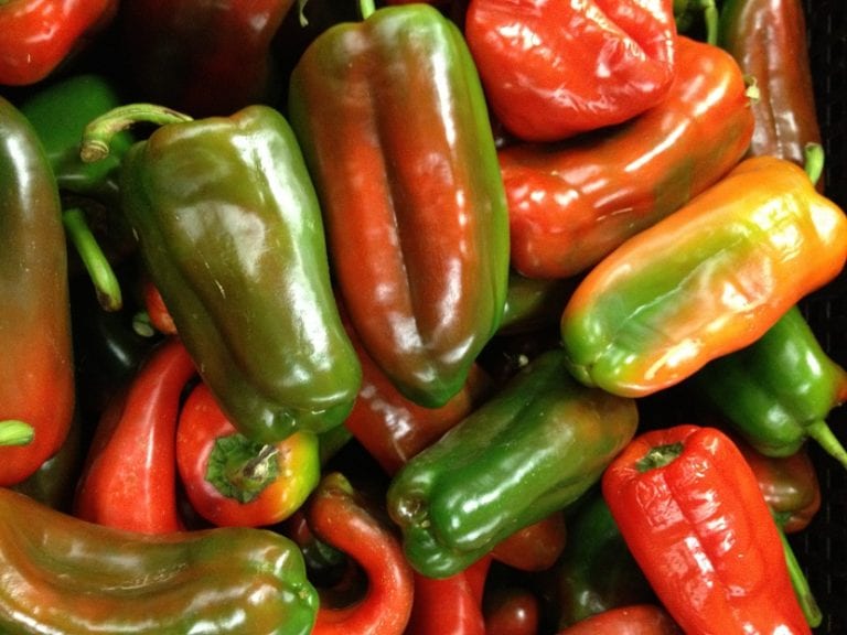 Pimientos con lesiones y mal aspecto
