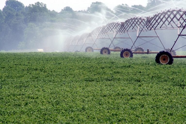 Preparación de un tratamiento natural para plantas