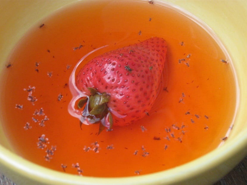 Frutales en el entorno donde se desarrolla la mosca de la fruta