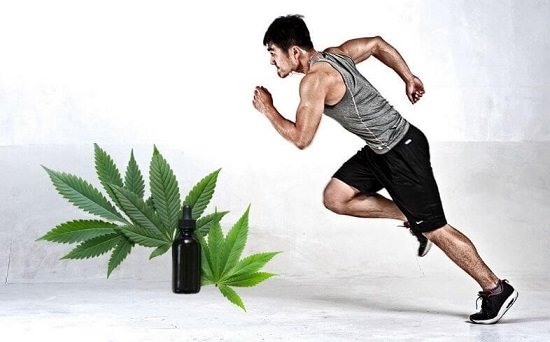 CBD y deporte: qué dice la ley en España