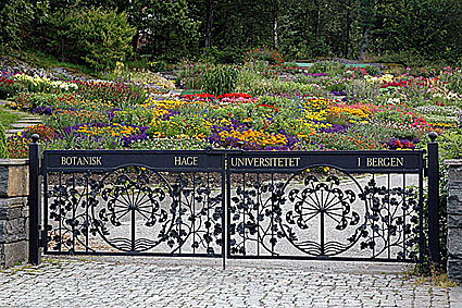Carpas para Jardín