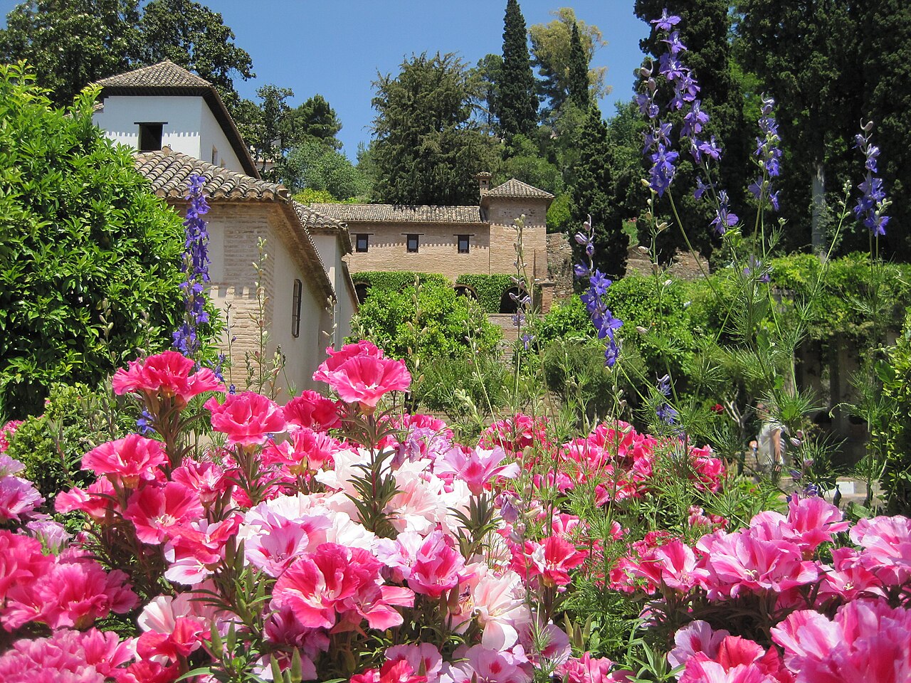 Cómo cuidar el jardín