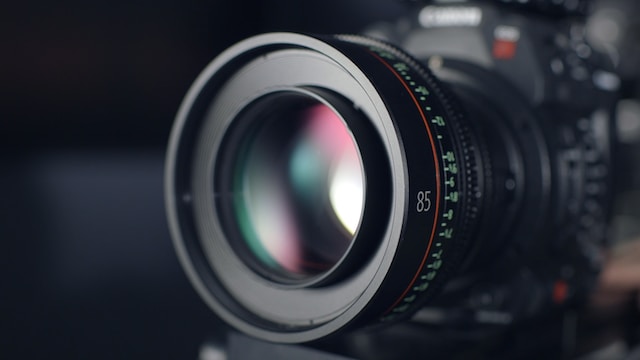 Cómo fotografiar un jardín: luz, hora y profundidad