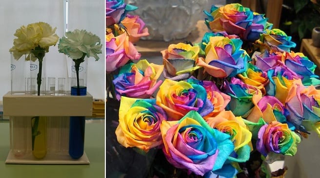 Ramo de flores de colores obtenido con tinte floral