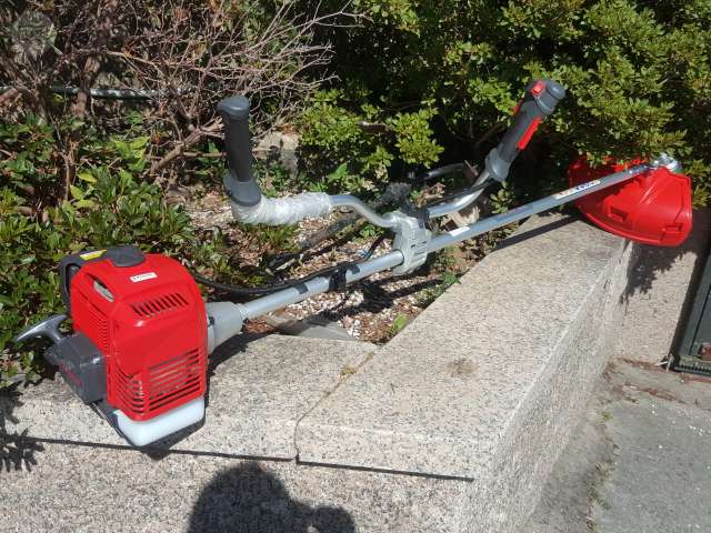 Motor de dos tiempos de una desbrozadora de gasolina
