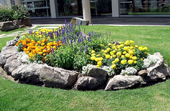 Diseño de jardines pequeños: guía práctica