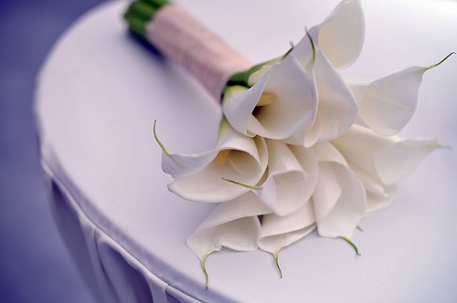 Flor de cala