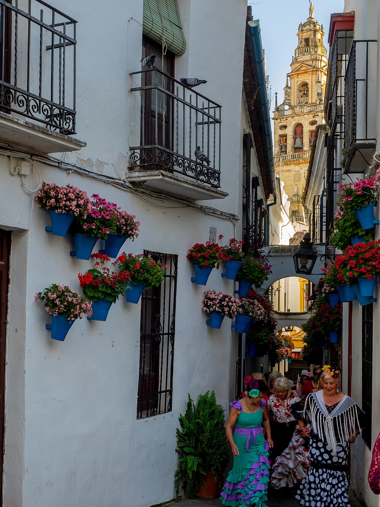 Flores Bonitas: Selección de las flores más bellas y hermosas