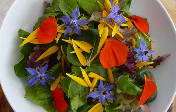 Ensalada con flores comestibles