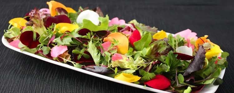 Ensalada con pétalos de flores comestibles de varios colores