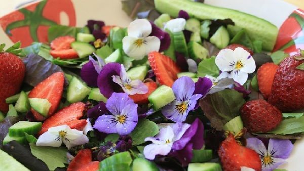 Ensalada con flores de viola de color morado y blanco