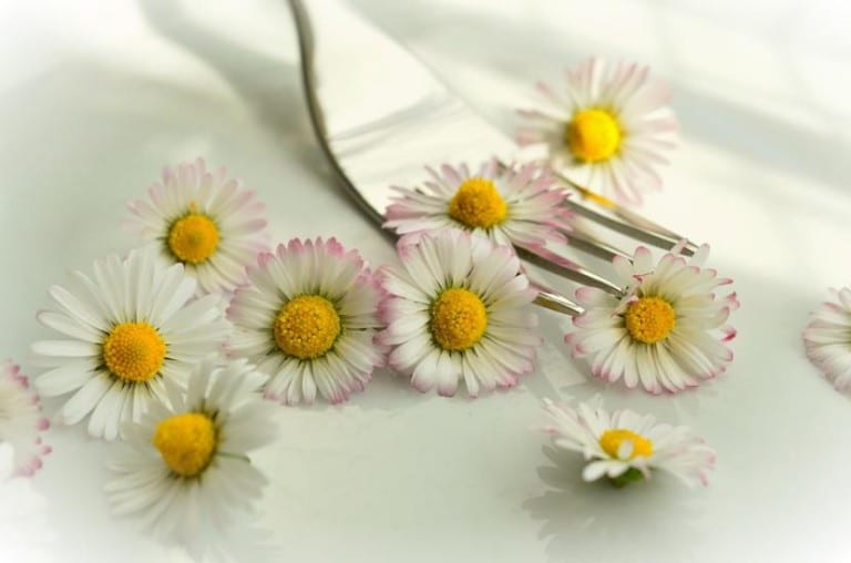 Ensalada decorada con pétalos de flores comestibles
