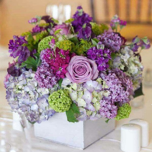 Usos de las flores moradas