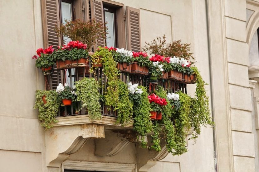 Balcón con jardineras y plantas en flor
