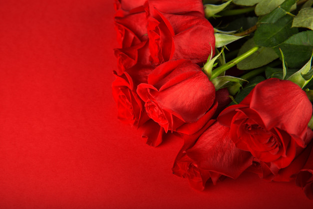 Significado de las flores rojas