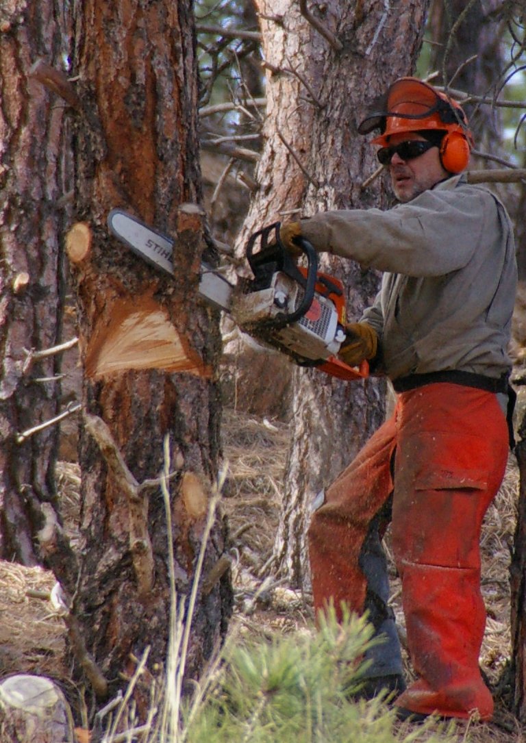 Motosierra