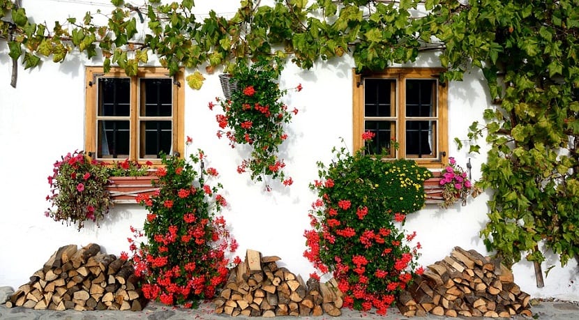 Fachada con balcones decorados con flores