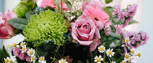 Flores para dar en primavera