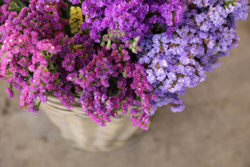 Flores de limonium de varios colores