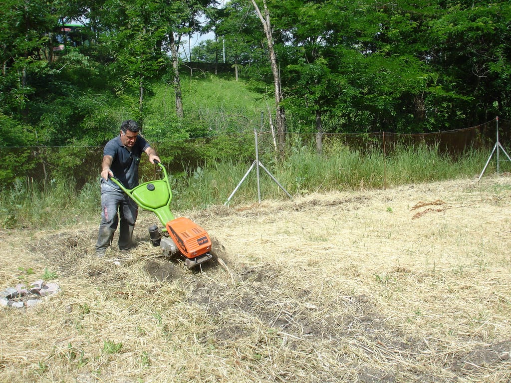 Cómo elegir una motoazada: guía de compra para el huerto