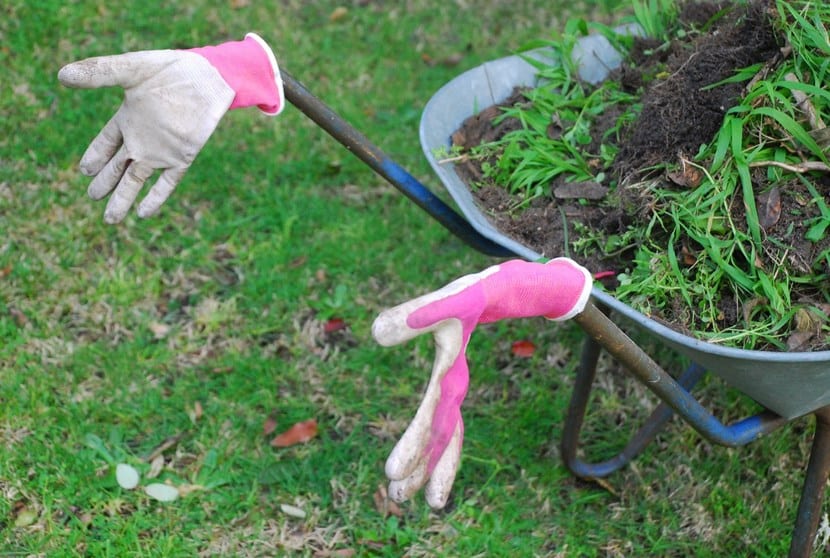 Guantes de jardinería: materiales, tallas y norma EN 388