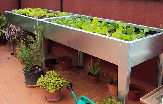 Mesas de cultivo: guía para elegirla y manejarla bien
