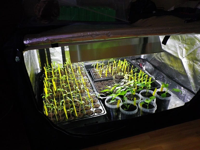 Armarios de cultivo: qué son, para qué sirven y cómo elegirlos